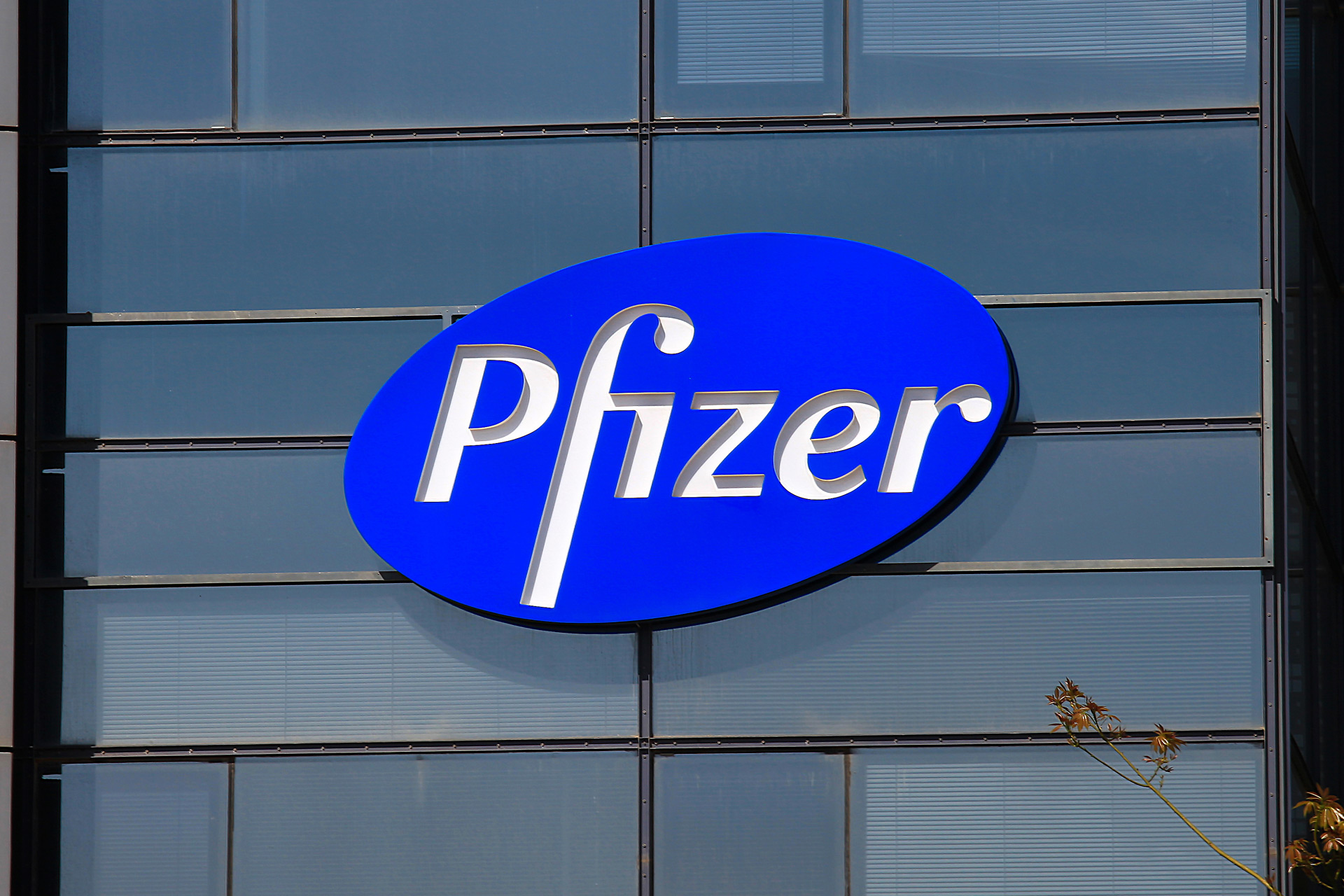 Pfizer003
